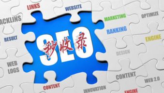 互聯網營銷實戰指南 破解網站收錄難題，實現銷售落地為王